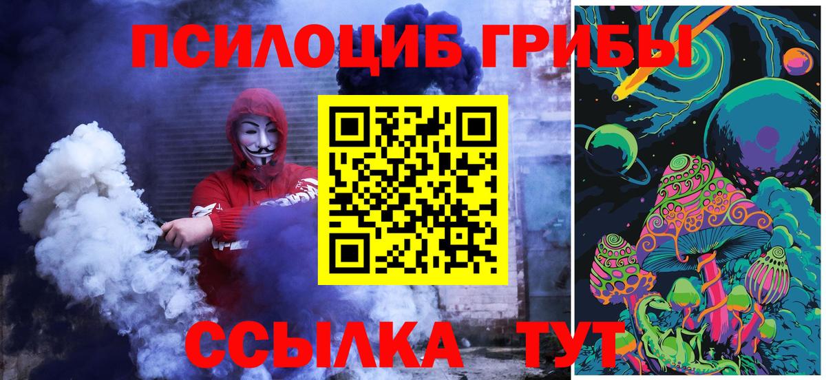 Дюртюли  Псилоцибиновые грибы Psilocybe  Вход с VPN 