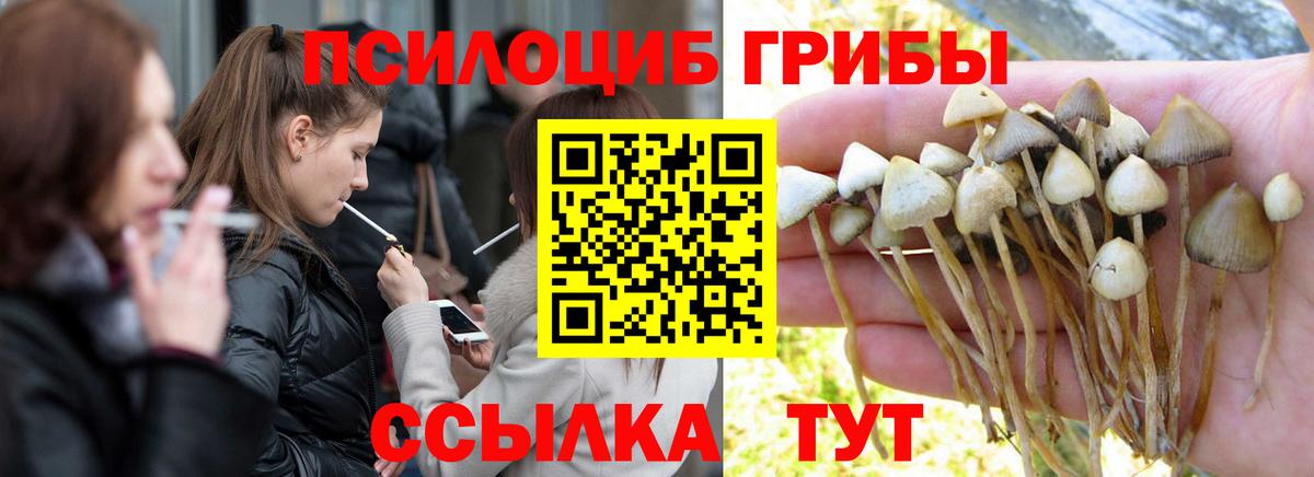 Галлюциногенные грибы GOLDEN TEACHER Дюртюли